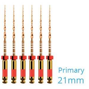 WAVEONE GOLD FILE PRIMARY 21MM .07 NR.25 ROOD X6ST.